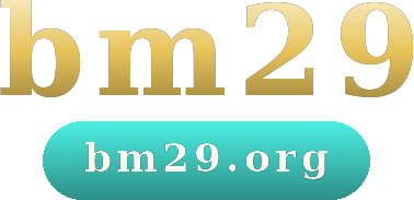 bm29 logo